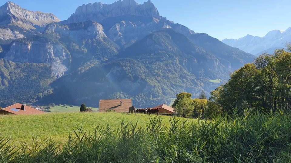 Vue depuis le parking de Burzier sur la vallée en contrebas.